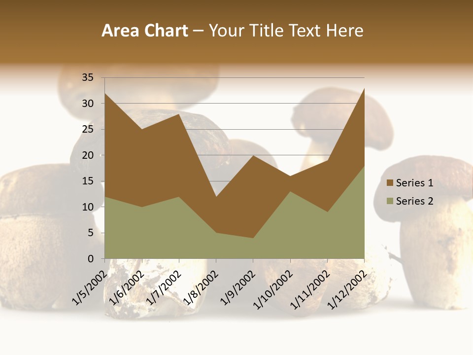 Mushrooms Steak Grow PowerPoint Template