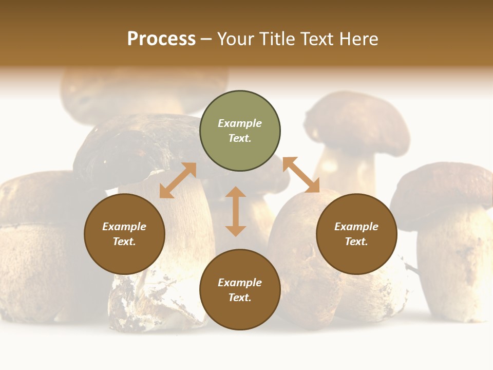 Mushrooms Steak Grow PowerPoint Template