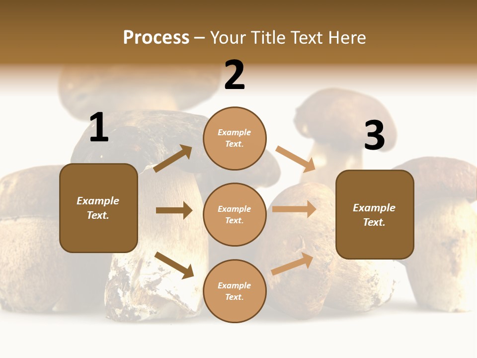 Mushrooms Steak Grow PowerPoint Template