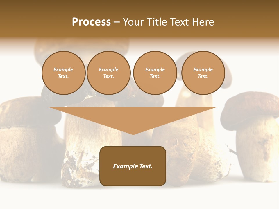 Mushrooms Steak Grow PowerPoint Template