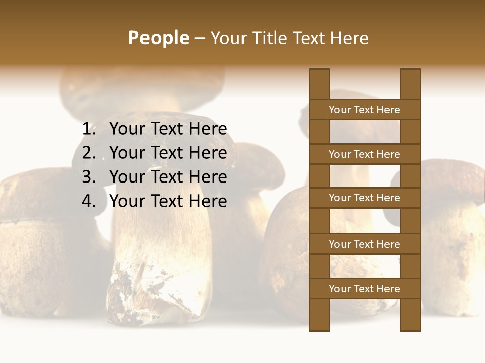 Mushrooms Steak Grow PowerPoint Template