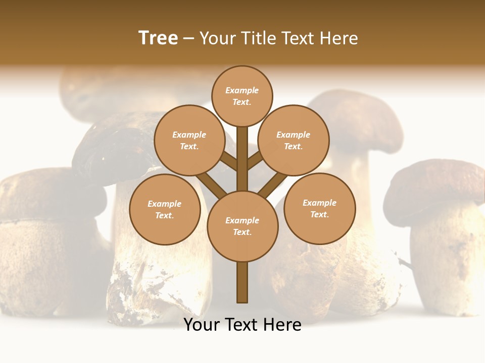 Mushrooms Steak Grow PowerPoint Template