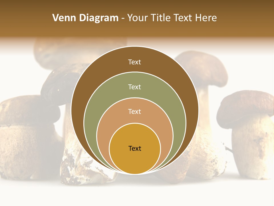 Mushrooms Steak Grow PowerPoint Template