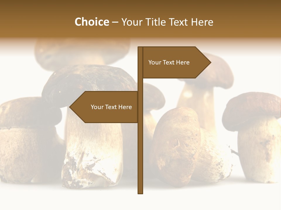 Mushrooms Steak Grow PowerPoint Template