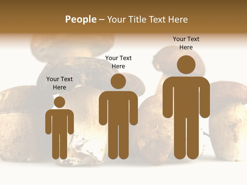 Mushrooms Steak Grow PowerPoint Template