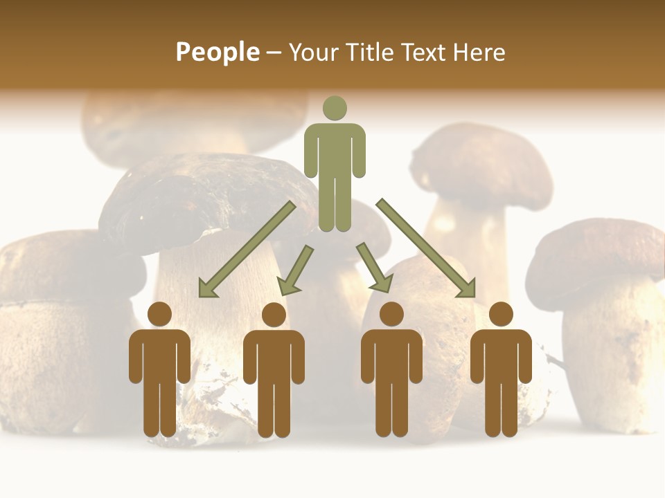 Mushrooms Steak Grow PowerPoint Template