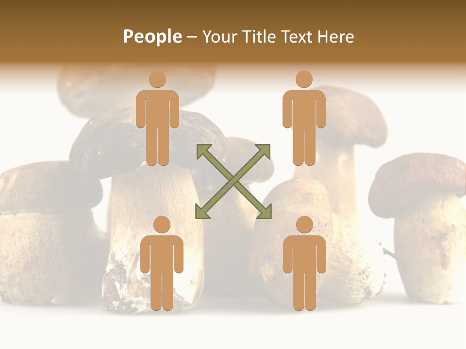 Mushrooms Steak Grow PowerPoint Template