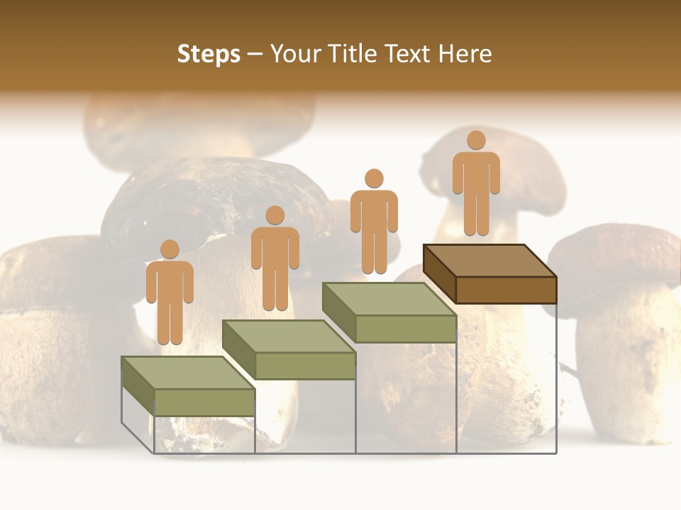 Mushrooms Steak Grow PowerPoint Template