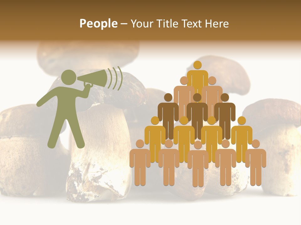 Mushrooms Steak Grow PowerPoint Template