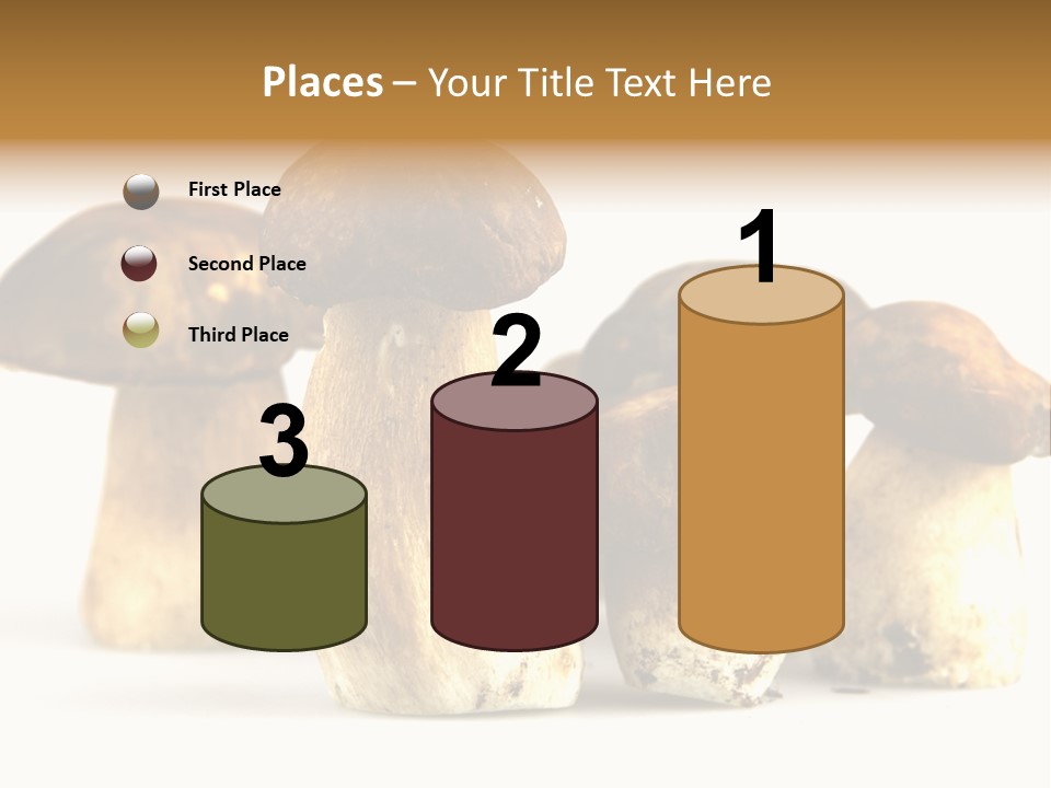 Fungus Porcino Cultivation PowerPoint Template