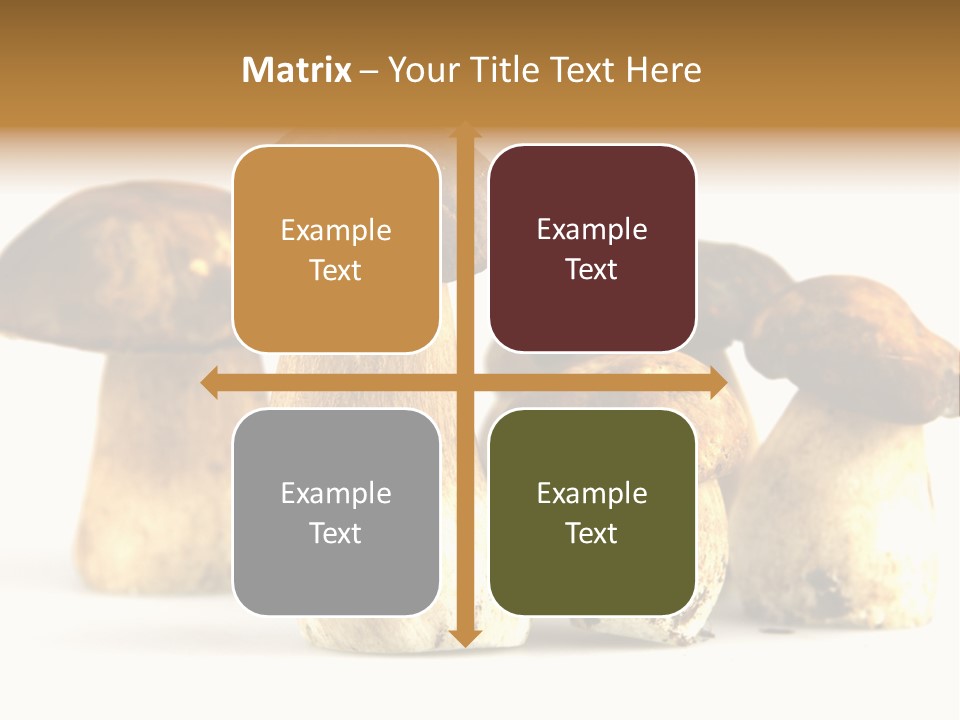 Fungus Porcino Cultivation PowerPoint Template