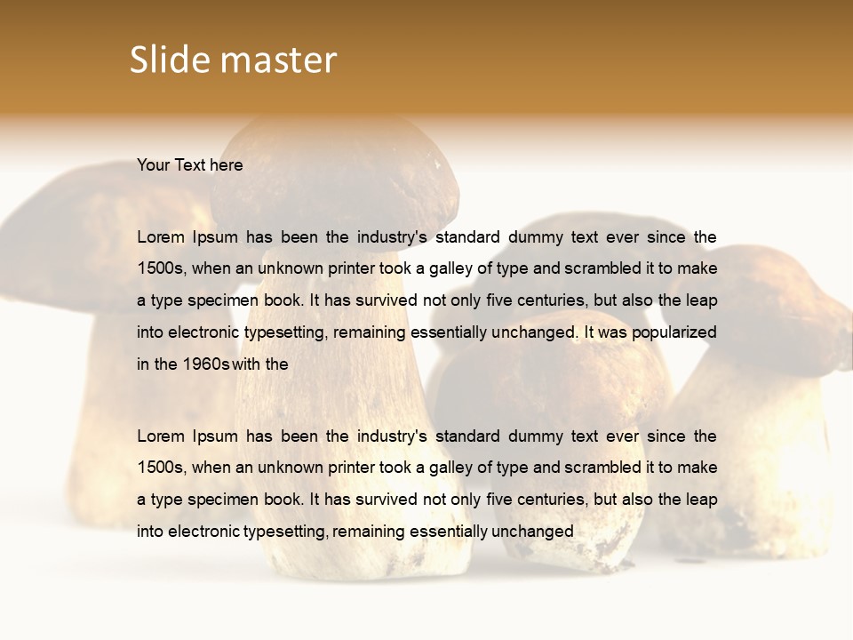 Fungus Porcino Cultivation PowerPoint Template