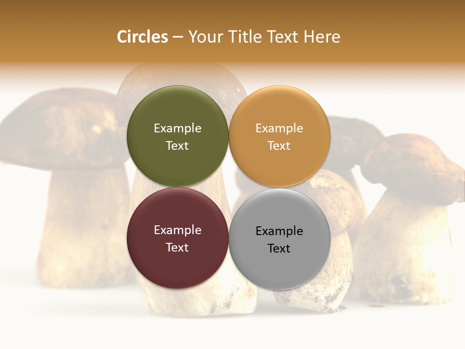 Fungus Porcino Cultivation PowerPoint Template