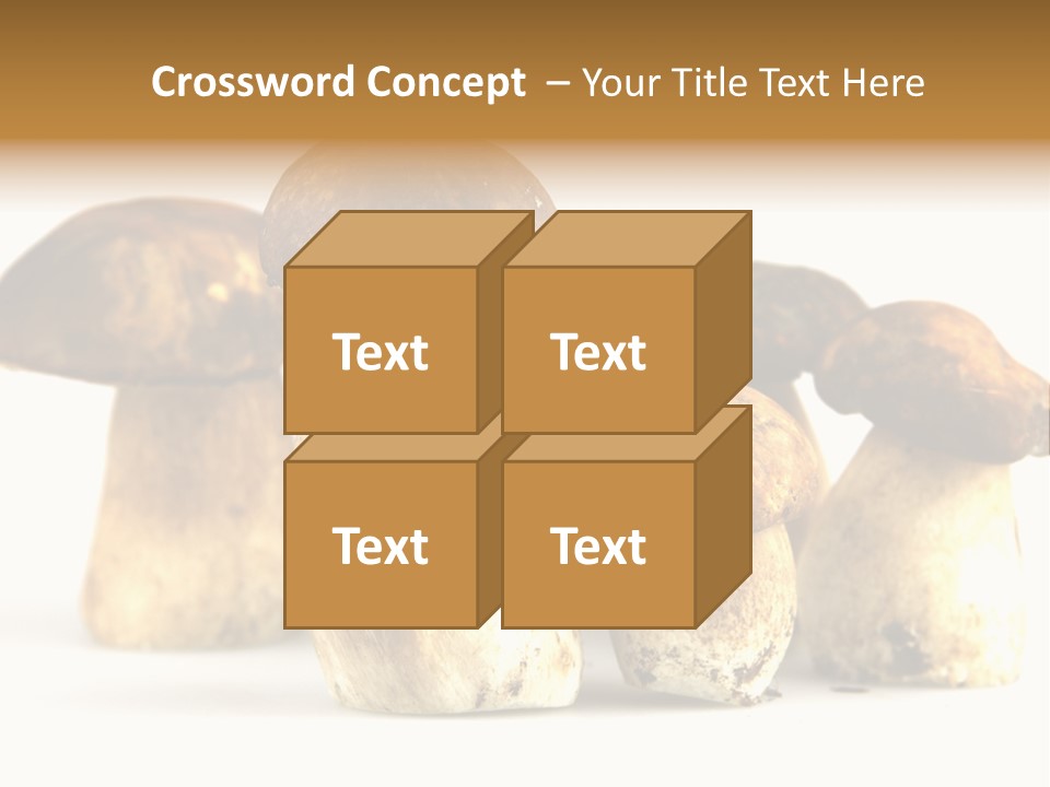 Fungus Porcino Cultivation PowerPoint Template
