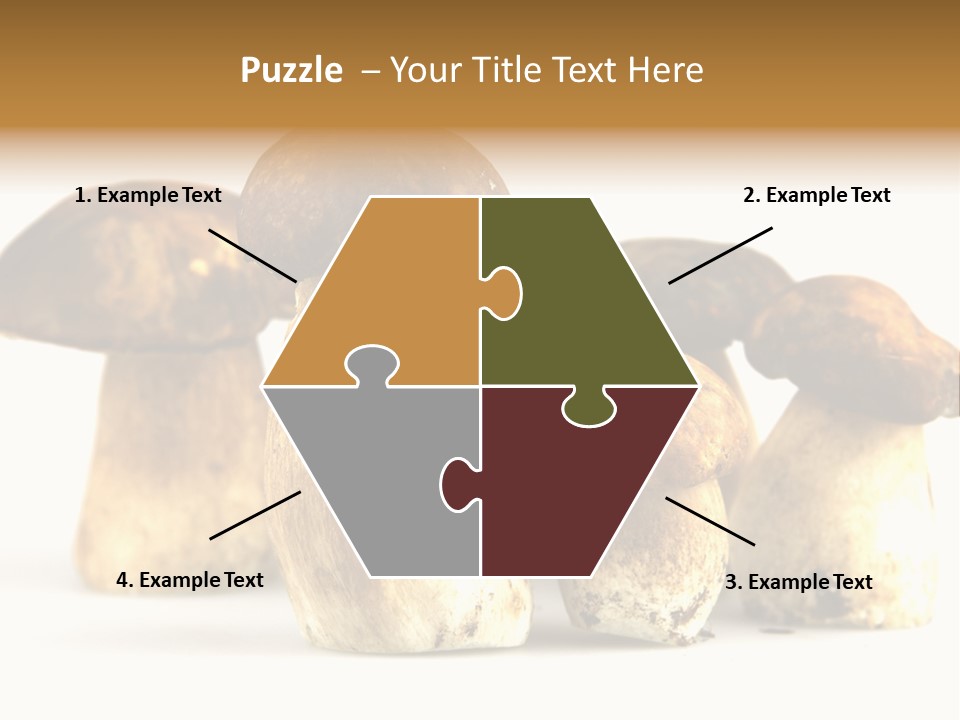 Fungus Porcino Cultivation PowerPoint Template