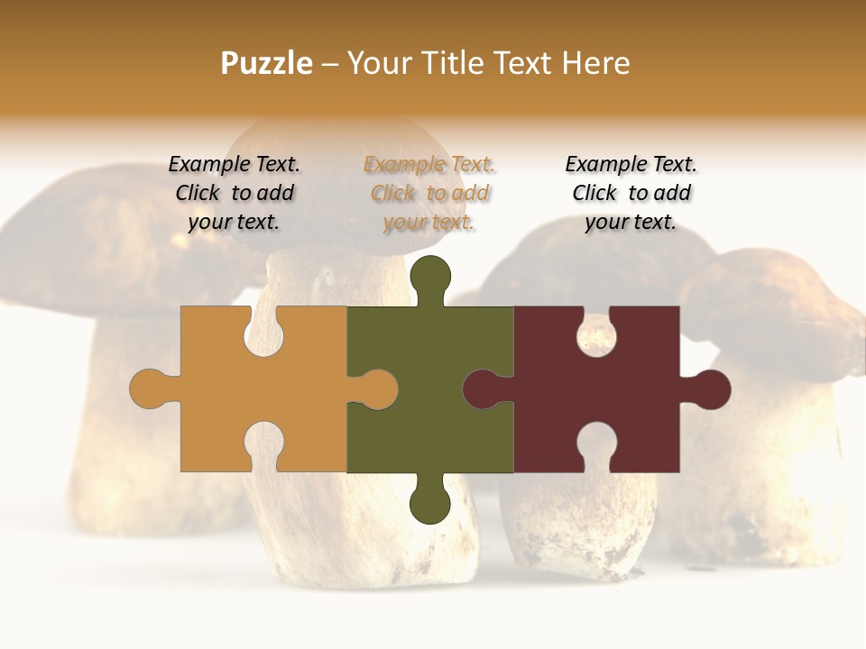 Fungus Porcino Cultivation PowerPoint Template