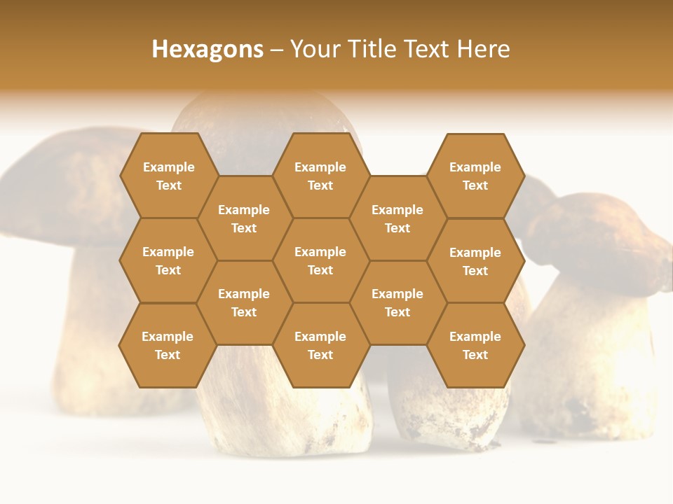 Fungus Porcino Cultivation PowerPoint Template