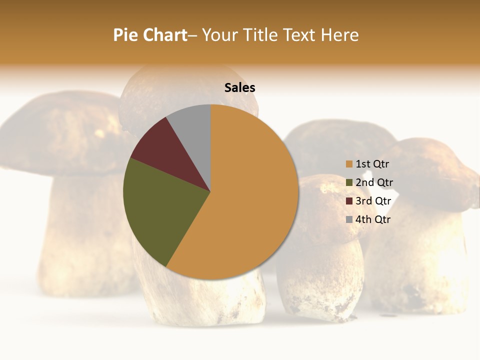 Fungus Porcino Cultivation PowerPoint Template