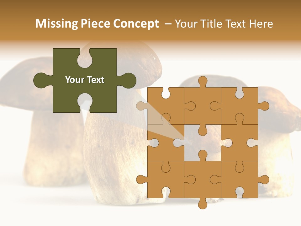 Fungus Porcino Cultivation PowerPoint Template