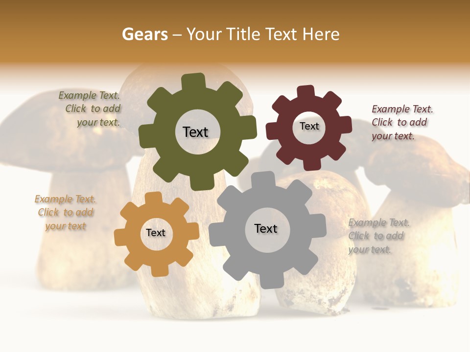 Fungus Porcino Cultivation PowerPoint Template