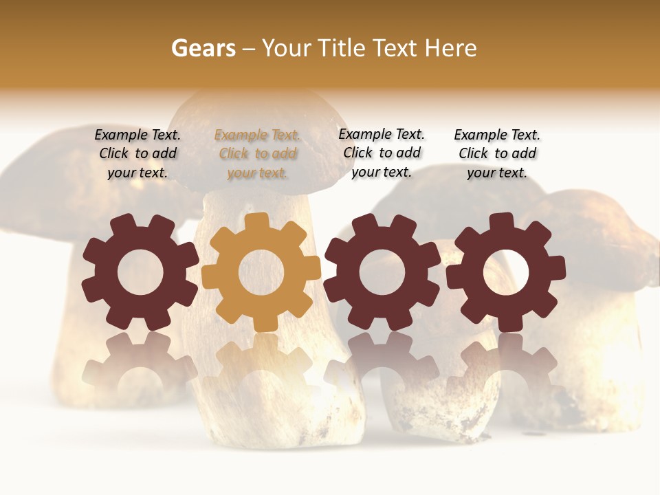 Fungus Porcino Cultivation PowerPoint Template