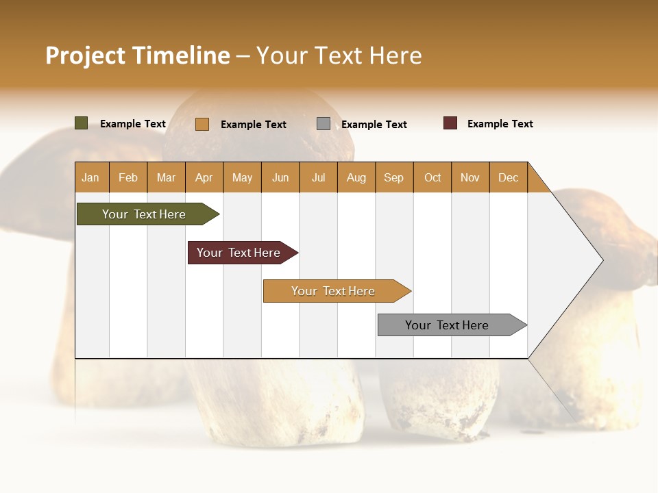 Fungus Porcino Cultivation PowerPoint Template
