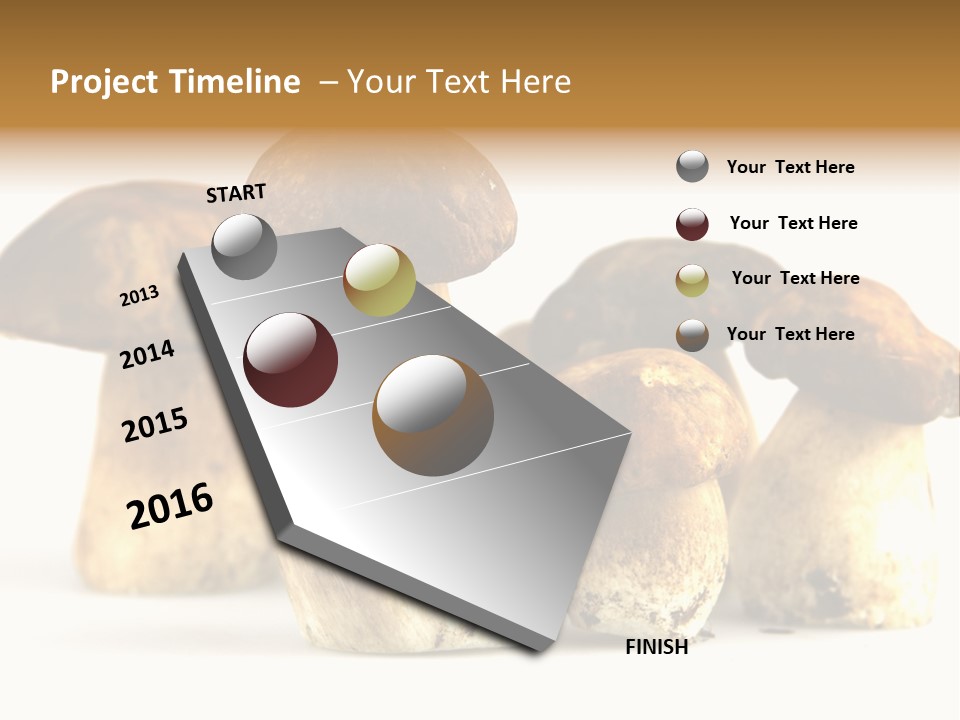 Fungus Porcino Cultivation PowerPoint Template