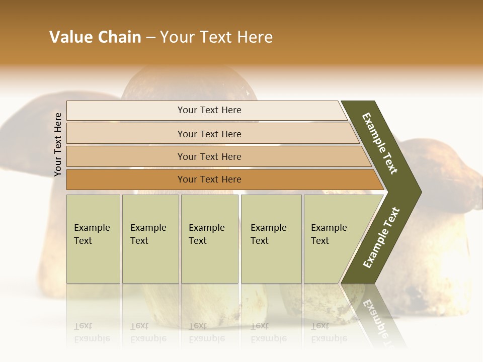 Fungus Porcino Cultivation PowerPoint Template