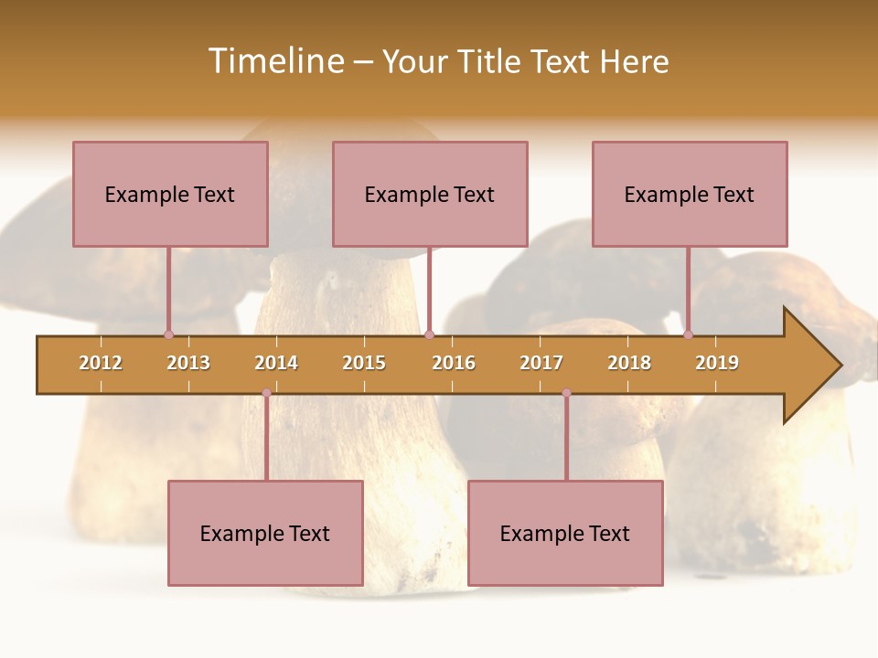 Fungus Porcino Cultivation PowerPoint Template