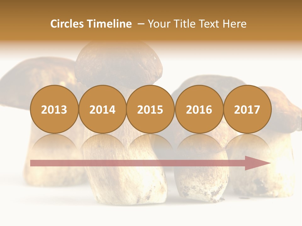 Fungus Porcino Cultivation PowerPoint Template