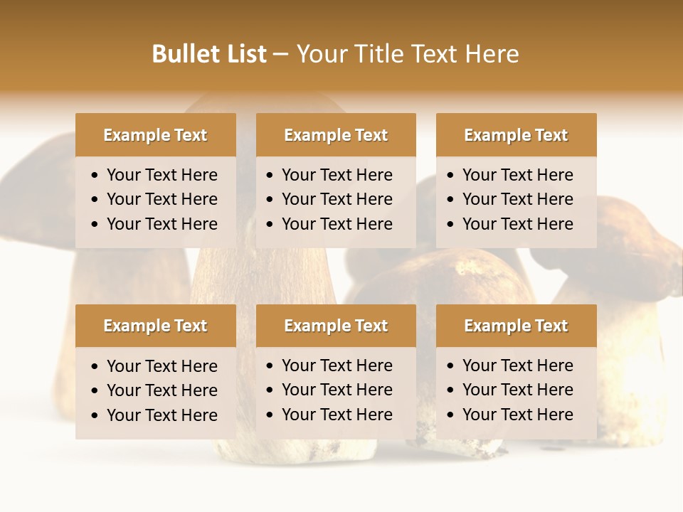 Fungus Porcino Cultivation PowerPoint Template