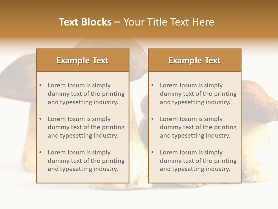 Fungus Porcino Cultivation PowerPoint Template