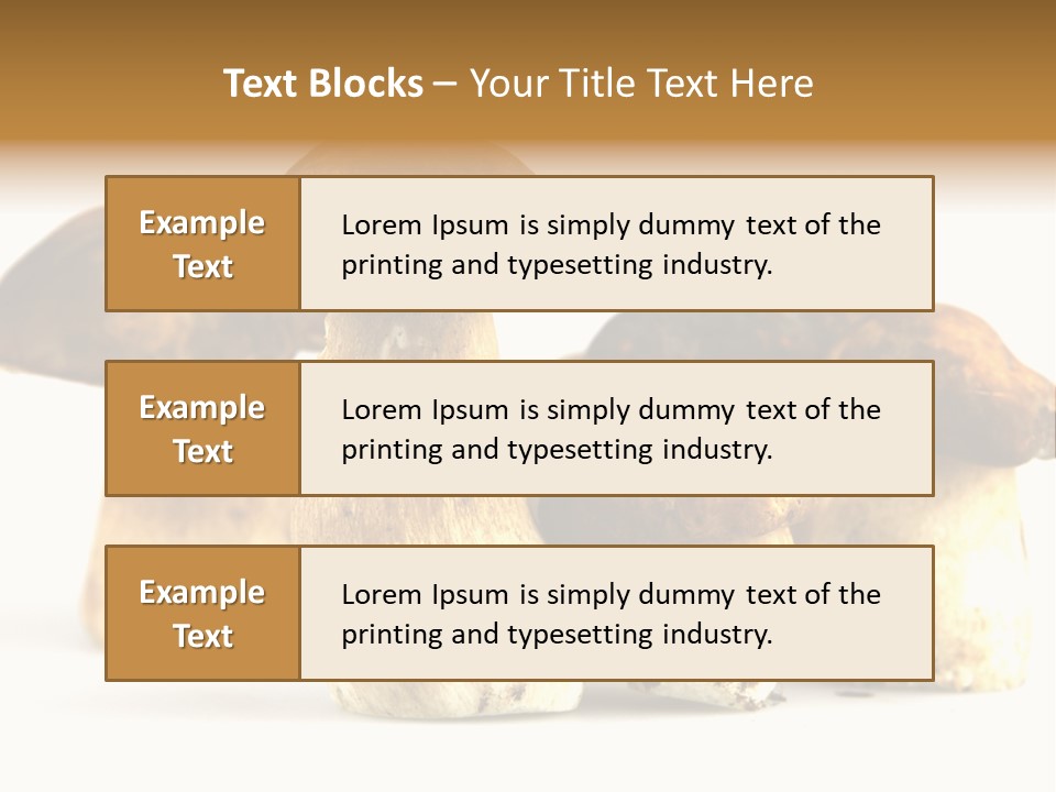 Fungus Porcino Cultivation PowerPoint Template