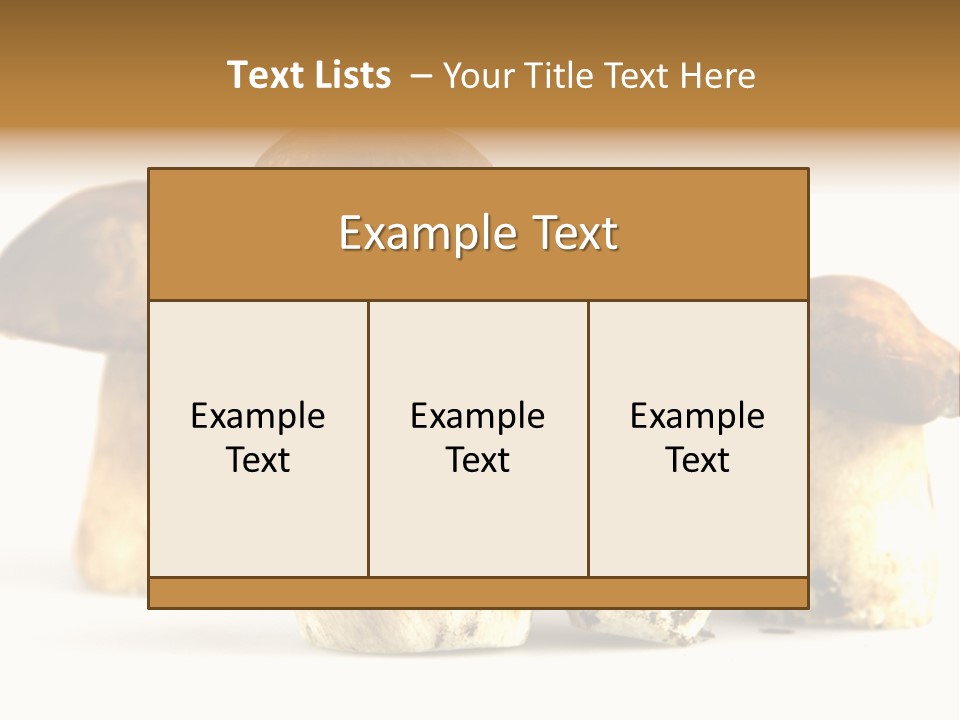 Fungus Porcino Cultivation PowerPoint Template