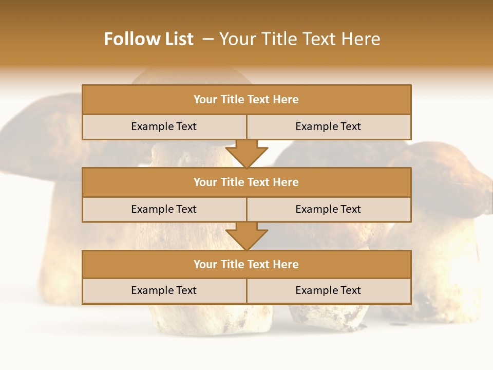 Fungus Porcino Cultivation PowerPoint Template