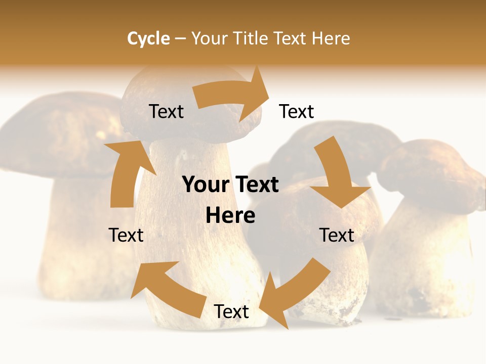 Fungus Porcino Cultivation PowerPoint Template
