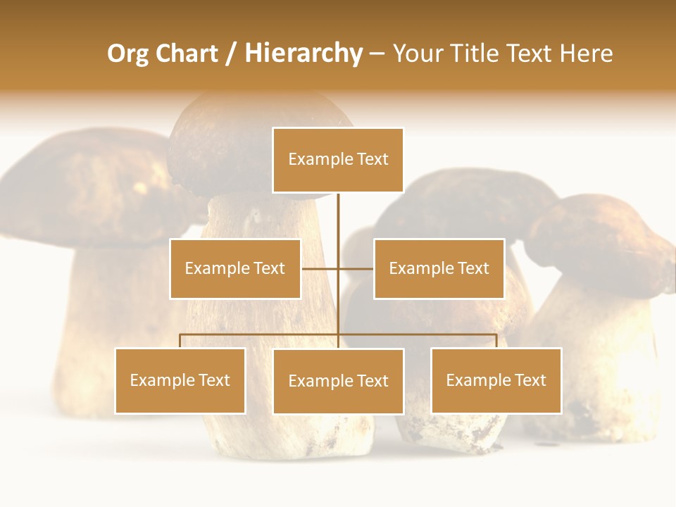 Fungus Porcino Cultivation PowerPoint Template