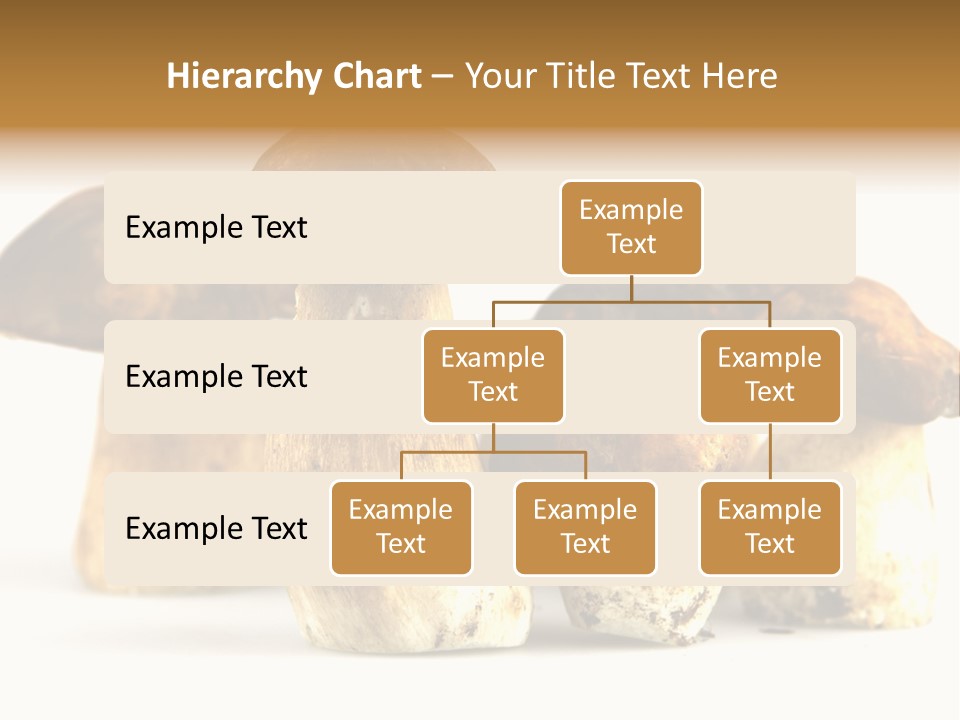 Fungus Porcino Cultivation PowerPoint Template