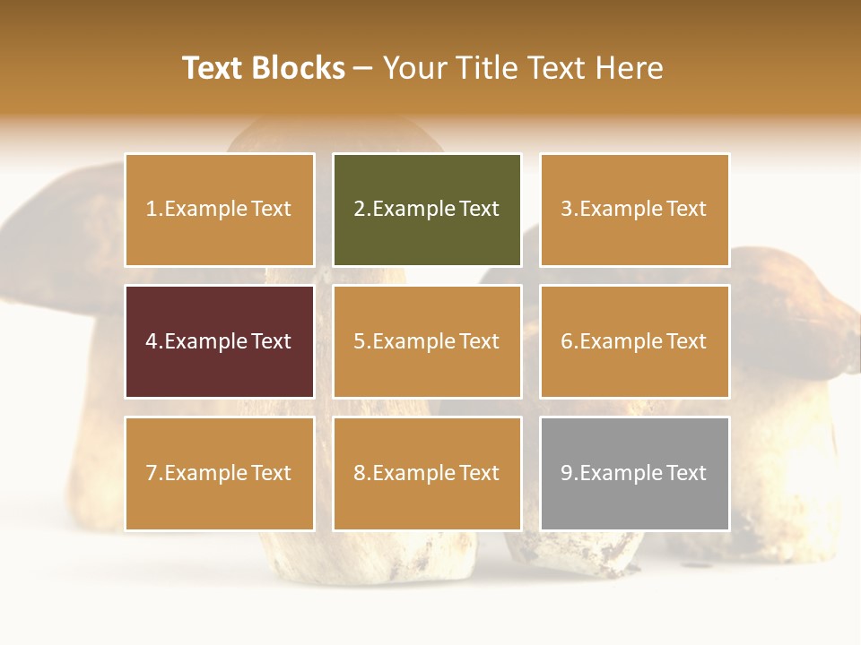 Fungus Porcino Cultivation PowerPoint Template