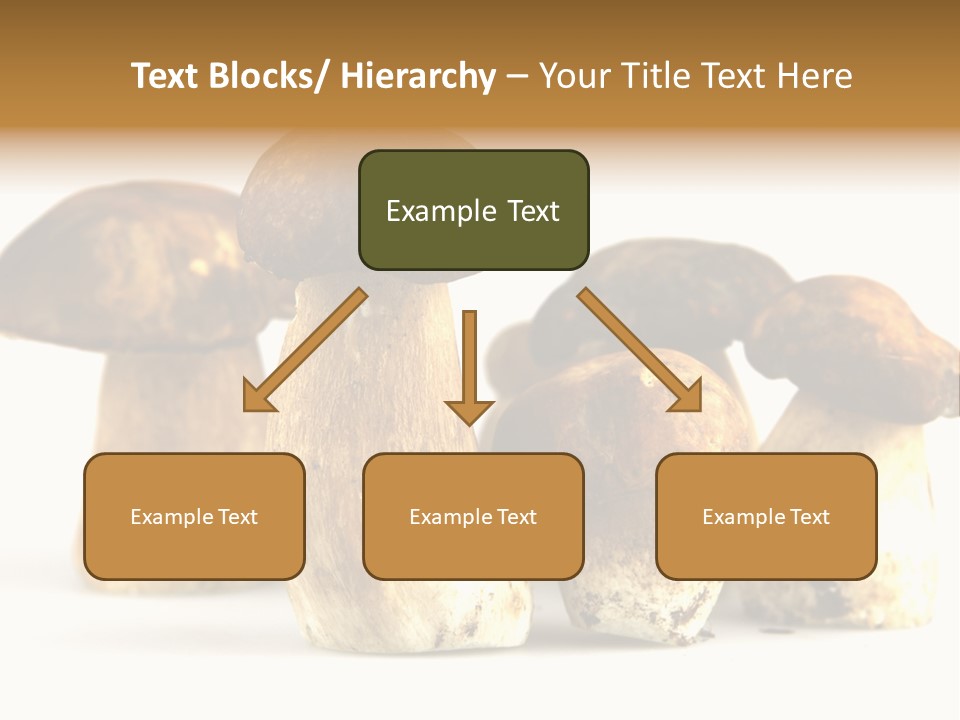 Fungus Porcino Cultivation PowerPoint Template