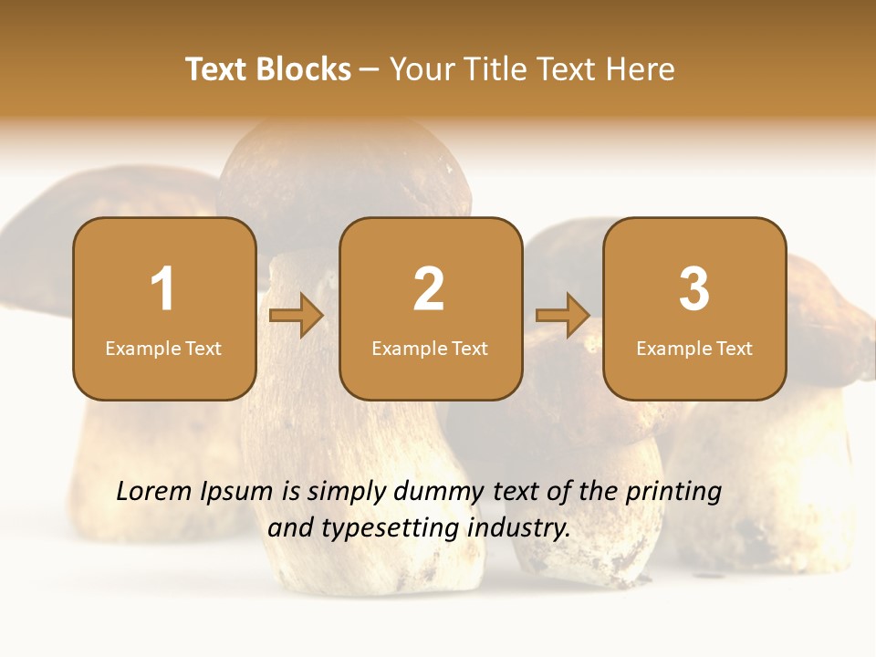 Fungus Porcino Cultivation PowerPoint Template