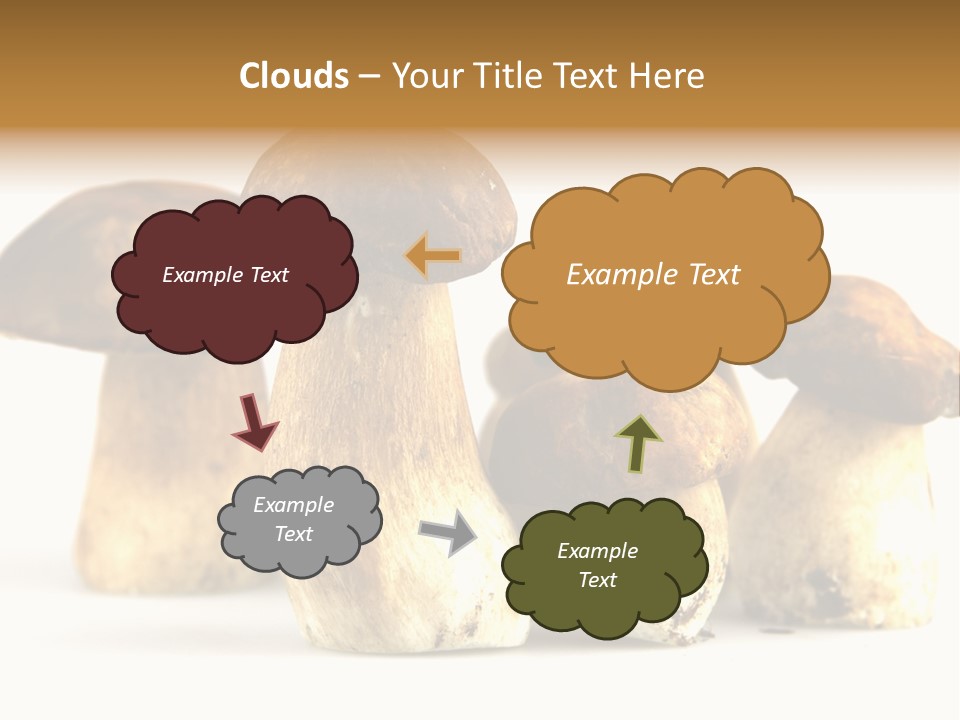 Fungus Porcino Cultivation PowerPoint Template