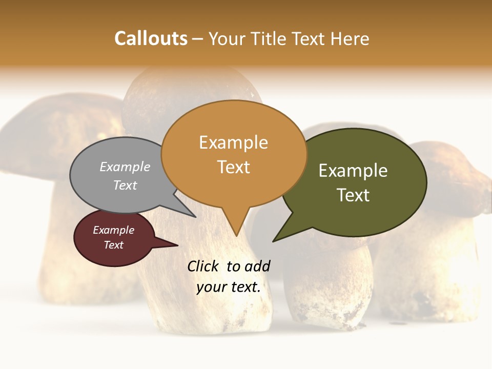 Fungus Porcino Cultivation PowerPoint Template