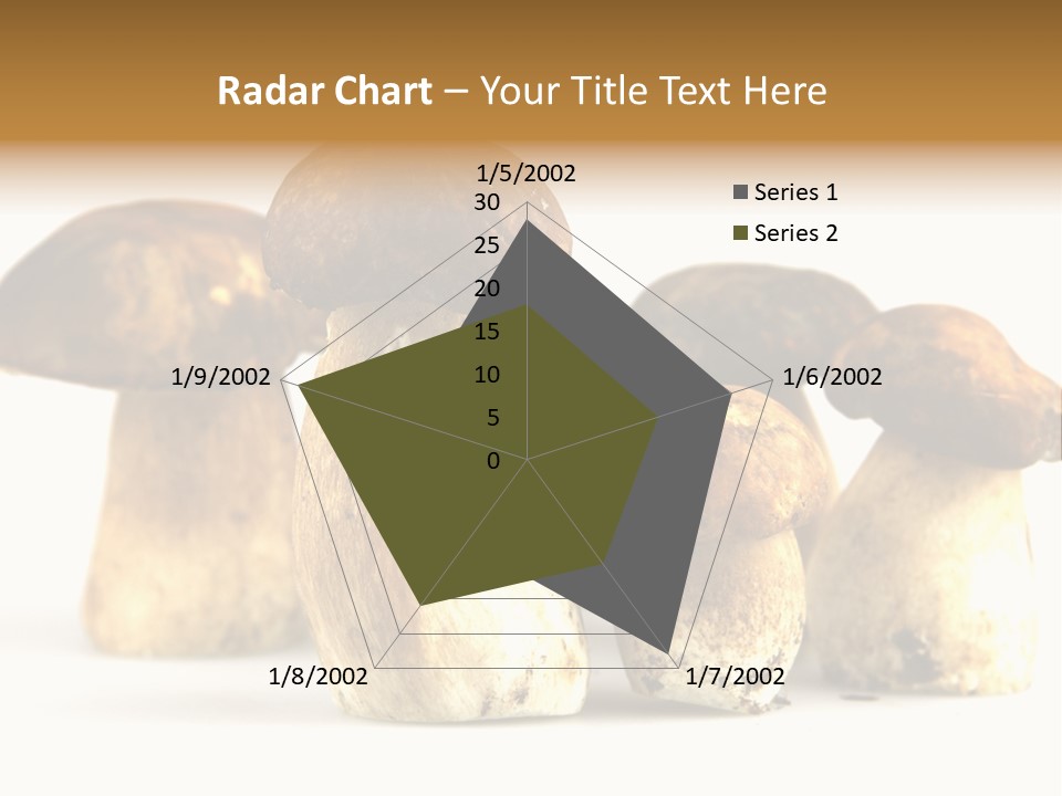 Fungus Porcino Cultivation PowerPoint Template