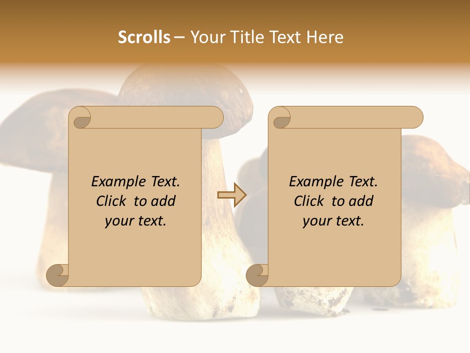 Fungus Porcino Cultivation PowerPoint Template