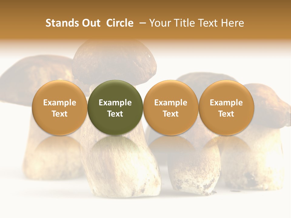 Fungus Porcino Cultivation PowerPoint Template