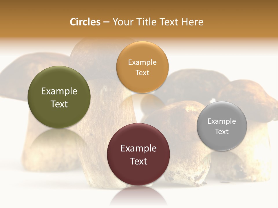 Fungus Porcino Cultivation PowerPoint Template