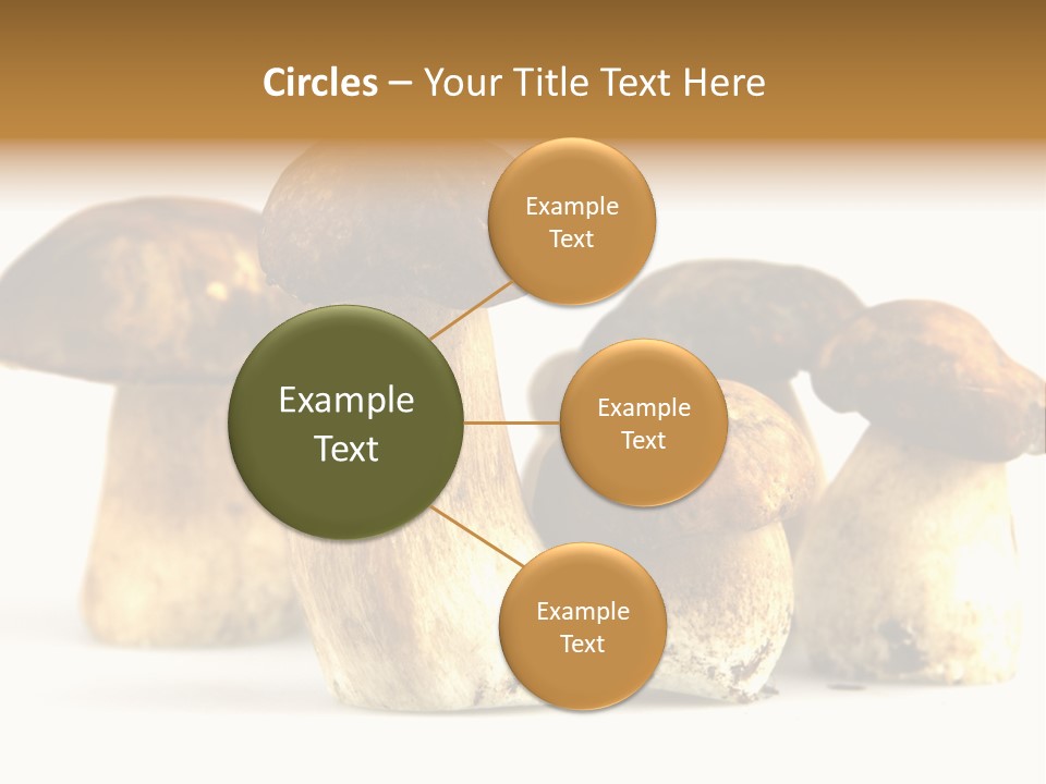Fungus Porcino Cultivation PowerPoint Template
