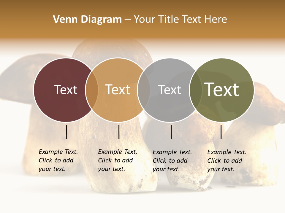 Fungus Porcino Cultivation PowerPoint Template