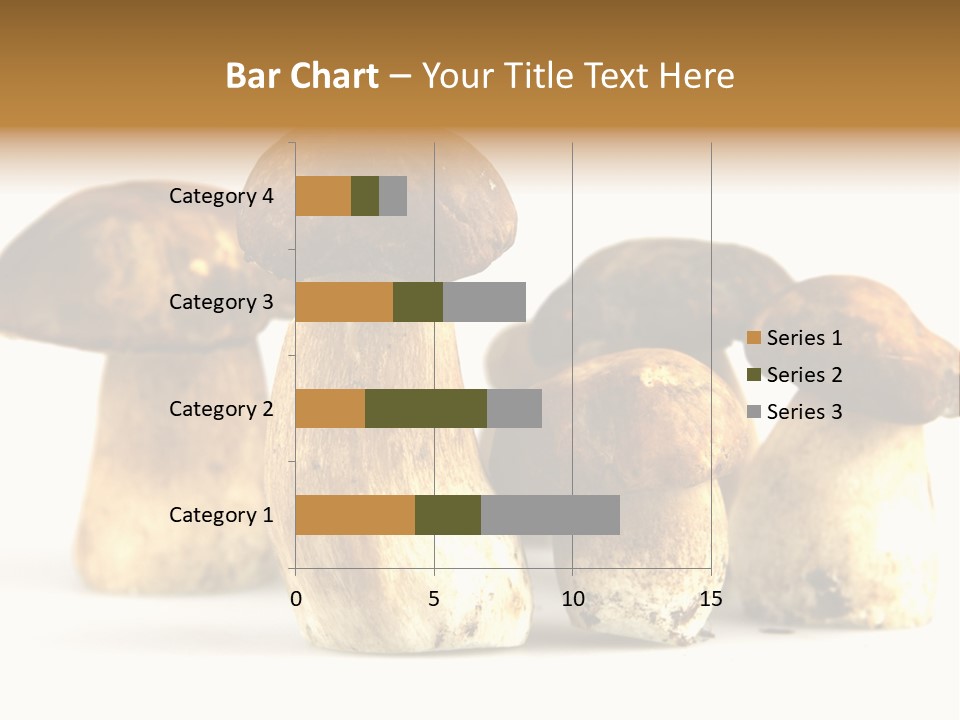 Fungus Porcino Cultivation PowerPoint Template